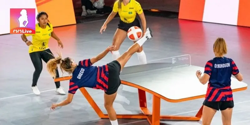 Trải nghiệm 4 sảnh cược thể thao hấp dẫn tại Mmlive