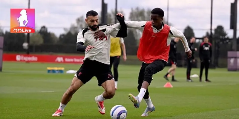 Tham gia thể thao Mmlive để nhận phần thưởng hấp dẫn